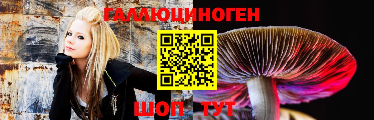 Тара  Галлюциногенные грибы MAGIC MUSHROOMS  Вход с VPN  Псилоцибиновые грибы мухоморы 
